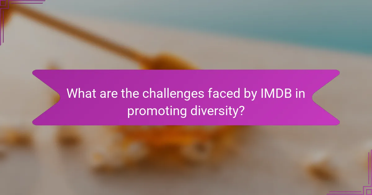 What are the challenges faced by IMDB in promoting diversity?